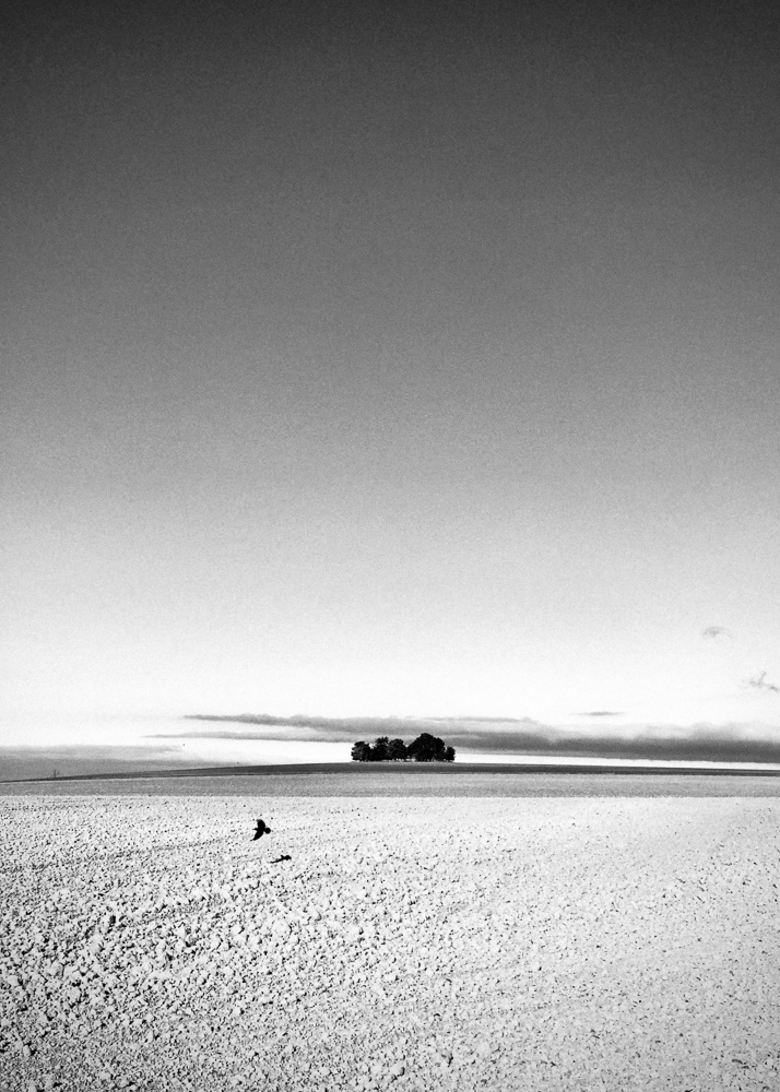 Picture of Wallingford, United Kingdom. 2018 © Pedro Rodrigues