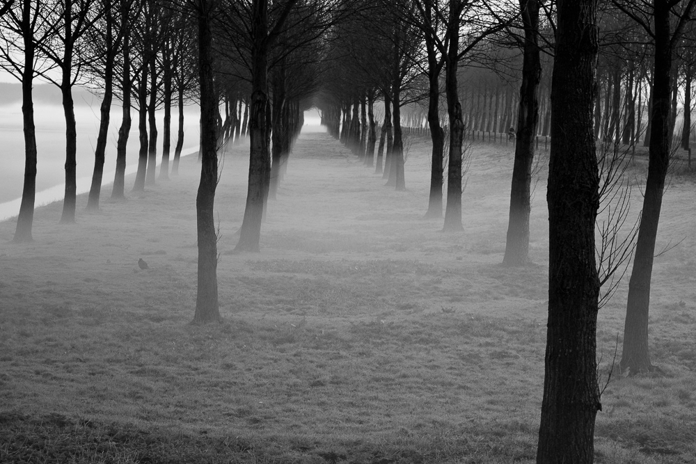 Picture of Delfgauw, THE Netherlands. 2012 © Pedro Rodrigues